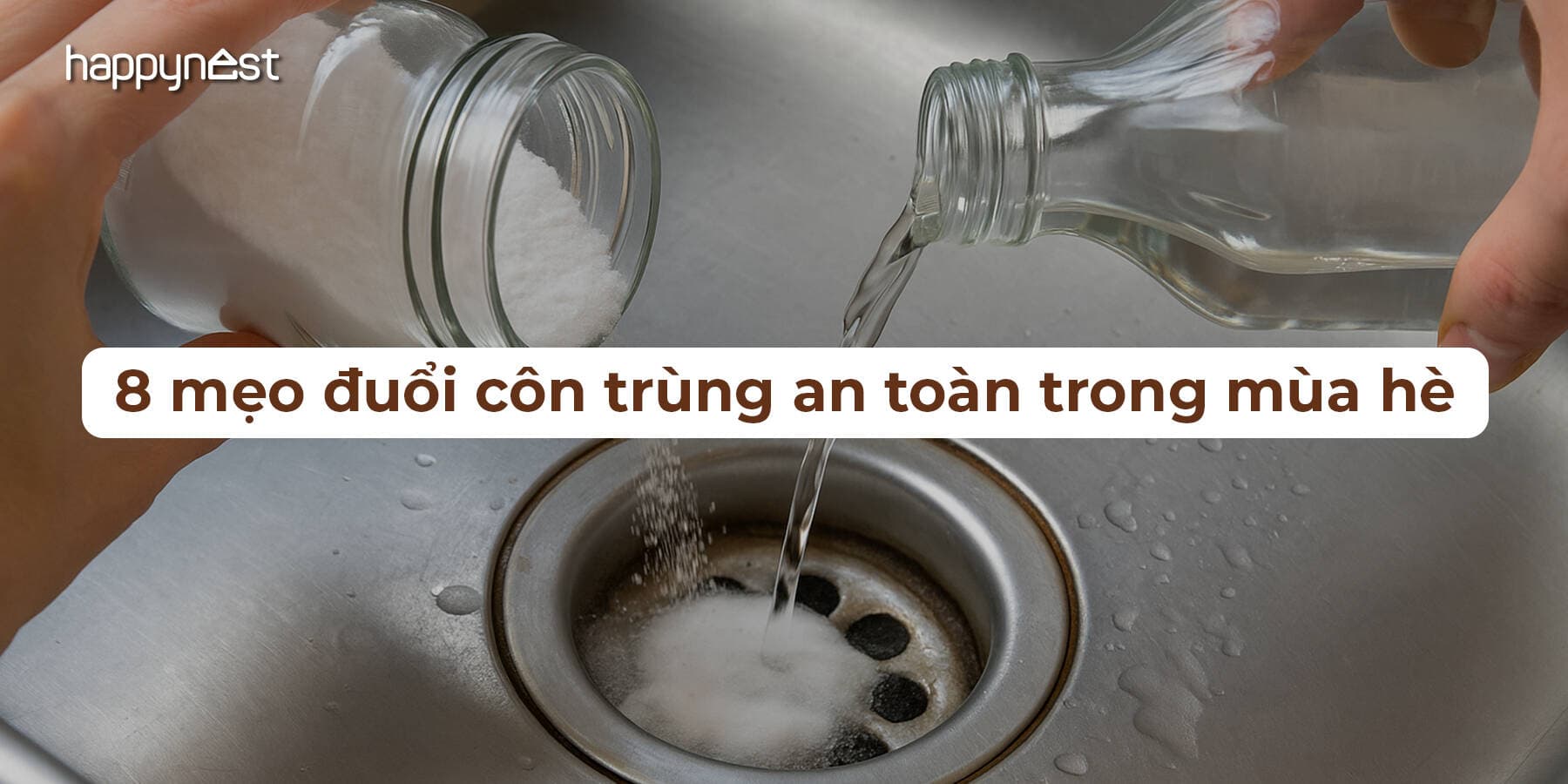 8 cách đuổi côn trùng hiệu quả trong mùa hè mà không cần dùng hóa chất