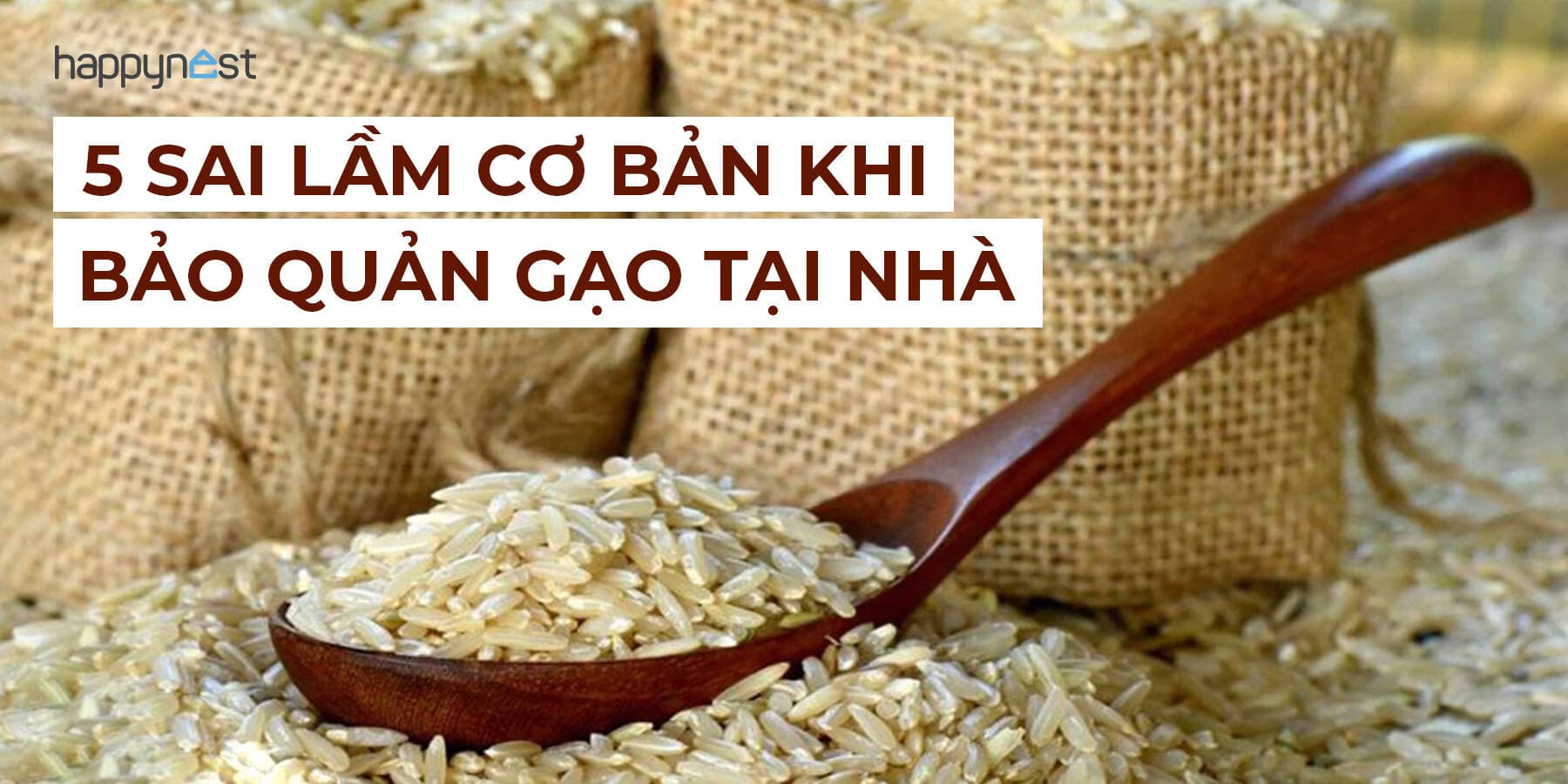 5 sai lầm khi bảo quản khiến gạo bị mốc, mọt và mất mùi dù đã cất kỹ
