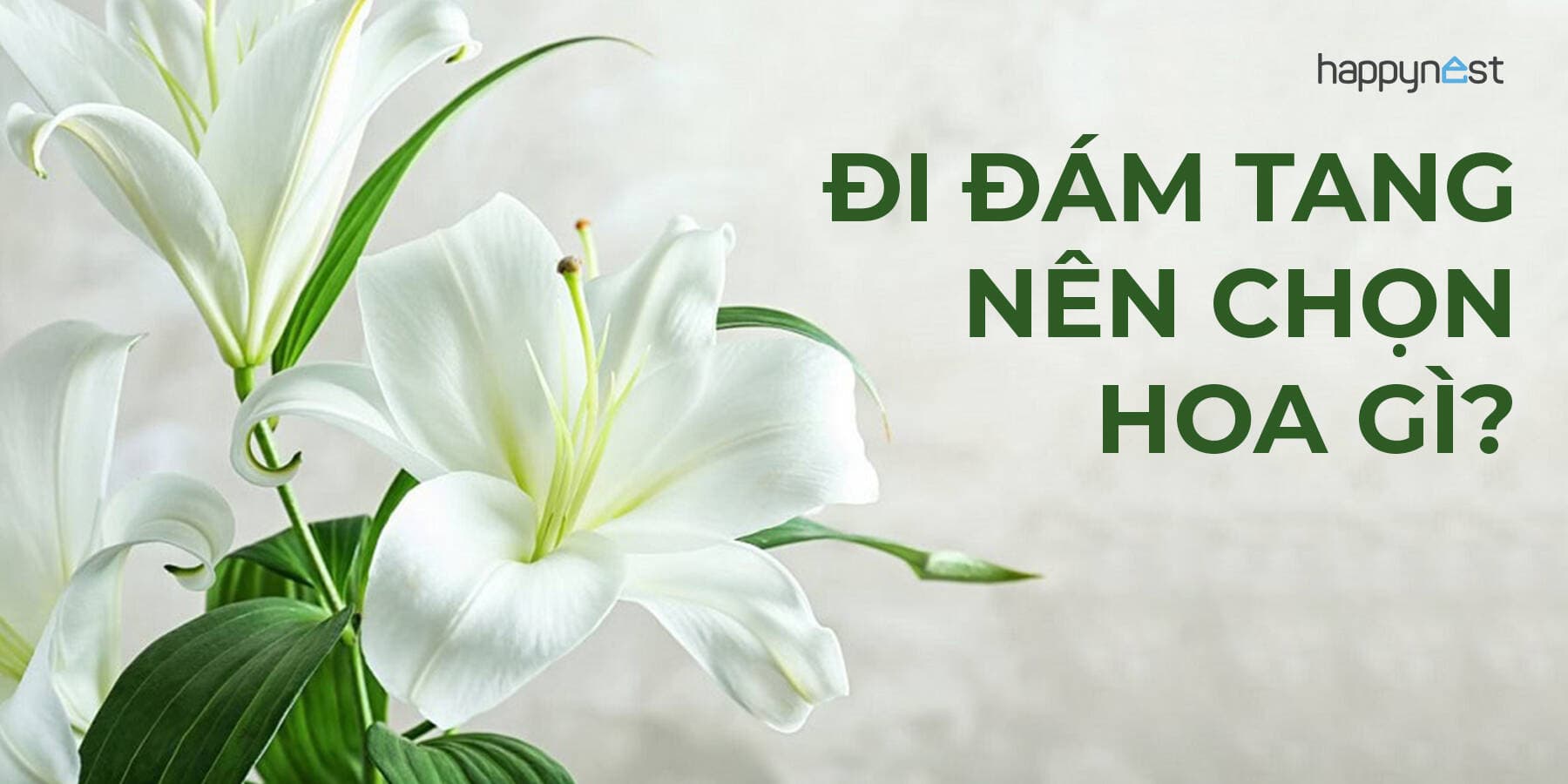 Đi đám tang nên chọn hoa gì để thể hiện sự trang trọng và thành kính?