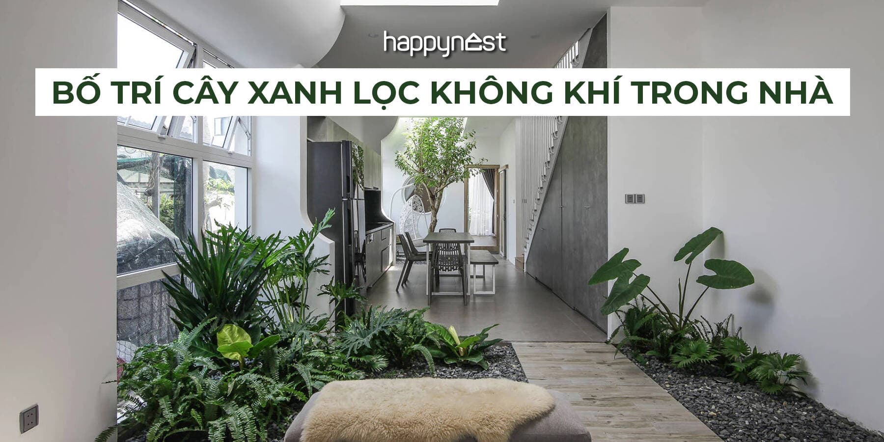 Bố trí cây xanh trong nhà đúng cách để lọc không khí và giảm bụi mịn đô thị