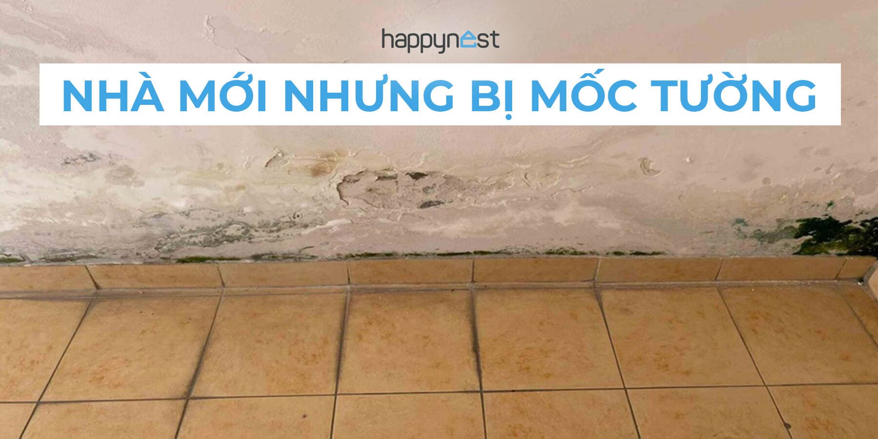 Nhà mới nhưng vẫn bị mốc tường? 4 nguyên nhân và cách xử lý triệt để bạn cần biết