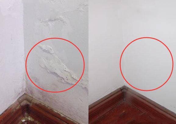 Giải quyết hiện tượng nấm mốc và bong tróc tường thường gặp ở Việt Nam