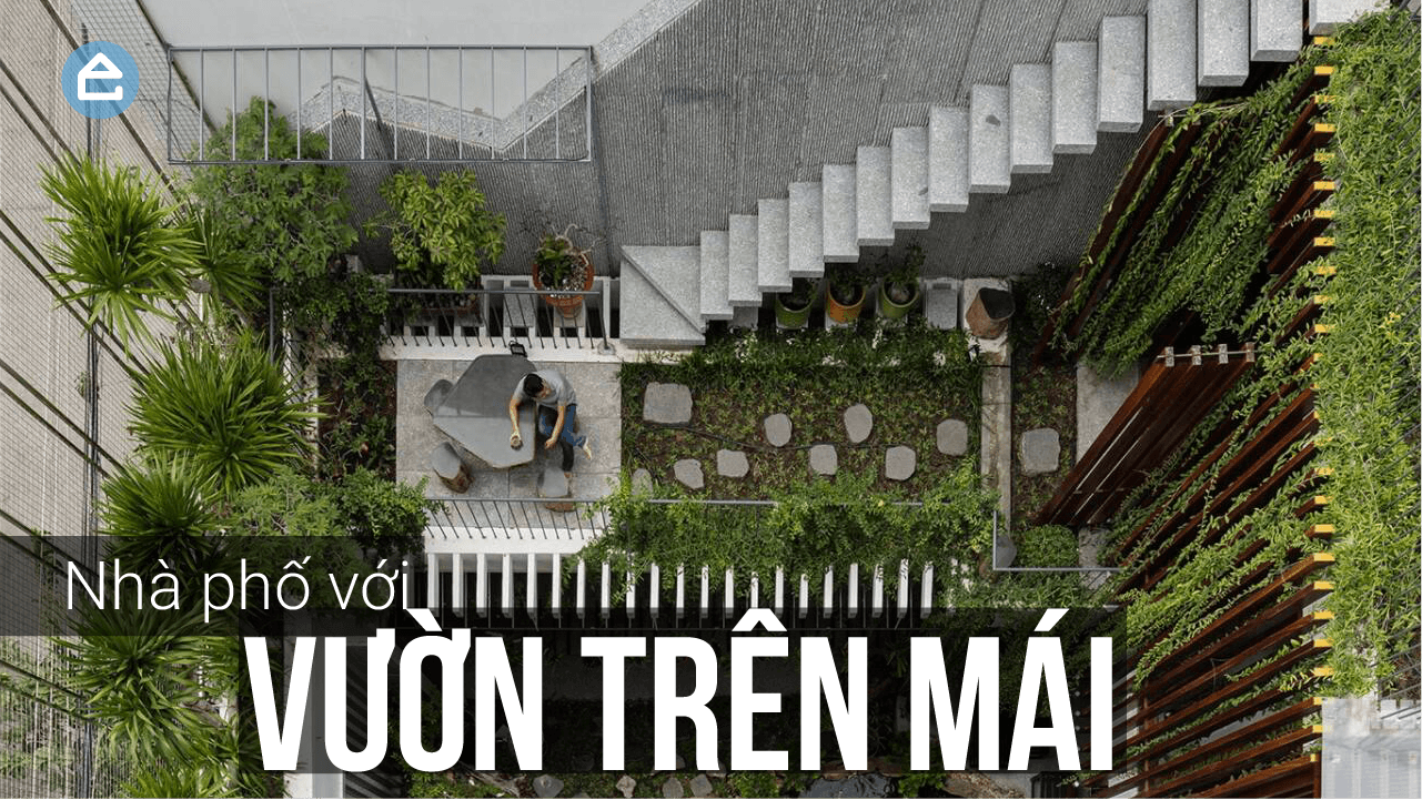 Ghé thăm khu vườn trên mái giữa thành phố biển của gia chủ thích trồng rau nuôi cá