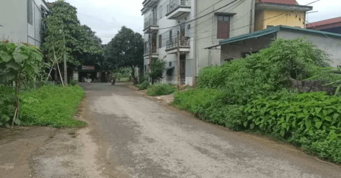 Vợ chồng tôi mua 2 mảnh đất trong 7 tháng nhờ chi tiêu đúng cách