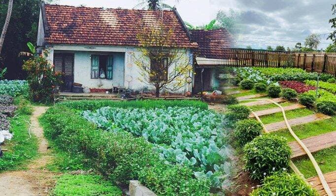 Tôi thấy tiếc khi bán đất quê 2,5 tỷ để mua nhà Sài Gòn