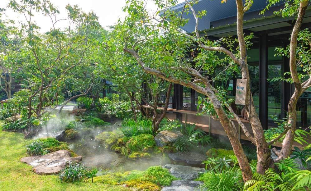 Gia chủ quyết định “chơi lớn” xây vườn nhiệt đới 540m2 cho mình và chó cưng giữa lòng đô thị