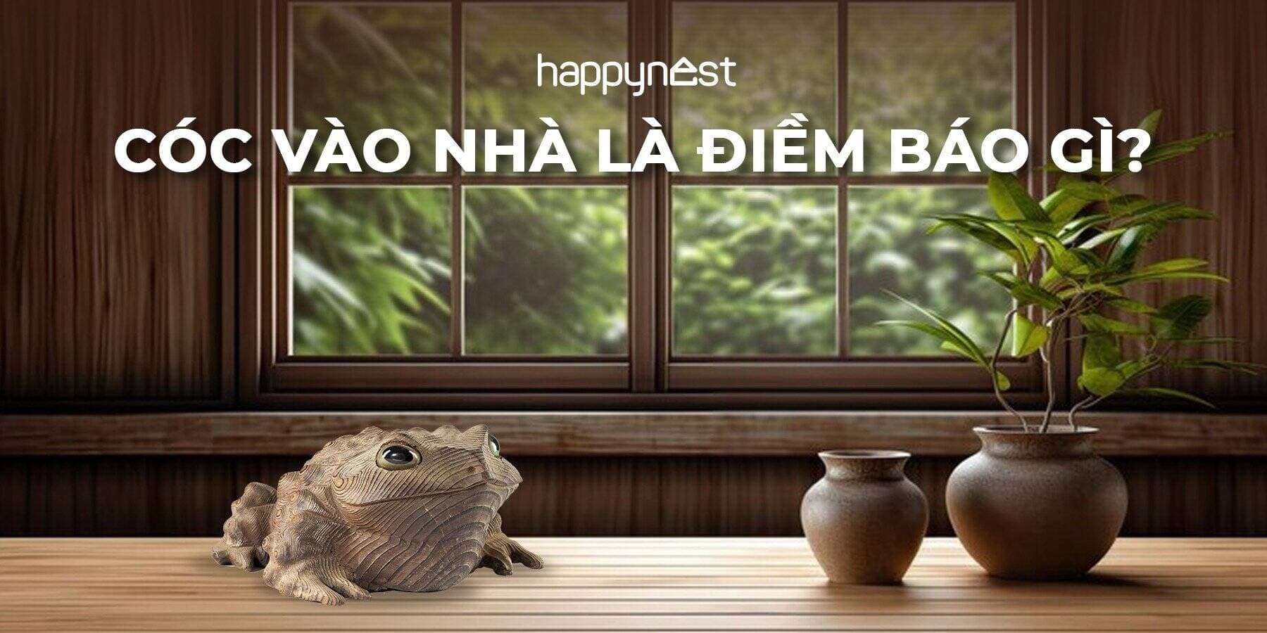 Cóc vào nhà là điềm báo gì? Tốt hay xấu? Giải mã hiện tượng con cóc vào nhà chi tiết nhất