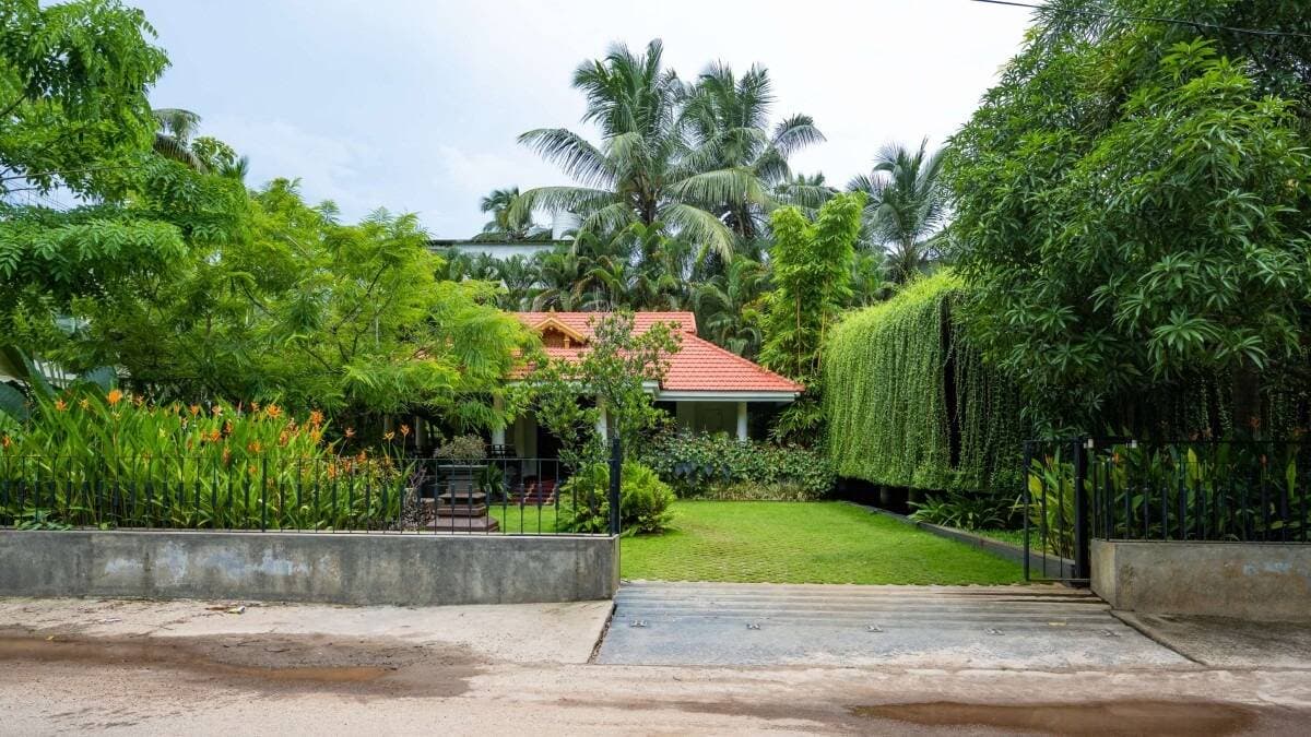 Văn phòng làm việc “ẩn mình” bên trong tấm rèm cây xanh độc đáo