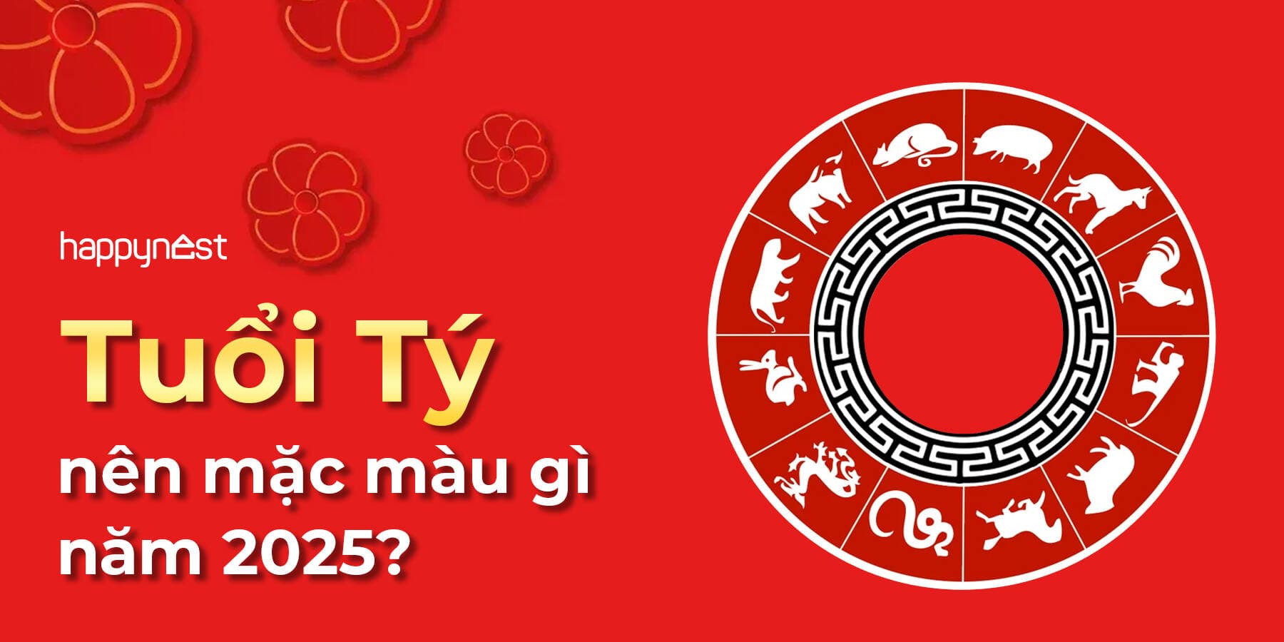 Tuổi Tý nên mặc màu gì năm 2025 để đón may mắn, thuận lợi?