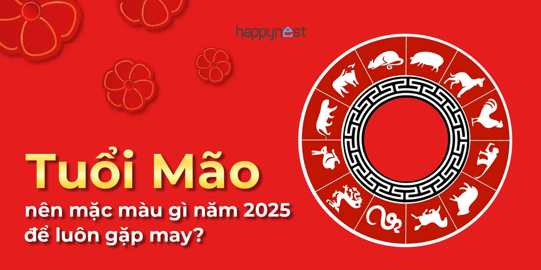 Năm 2025, tuổi Mão nên mặc màu gì để luôn gặp may?