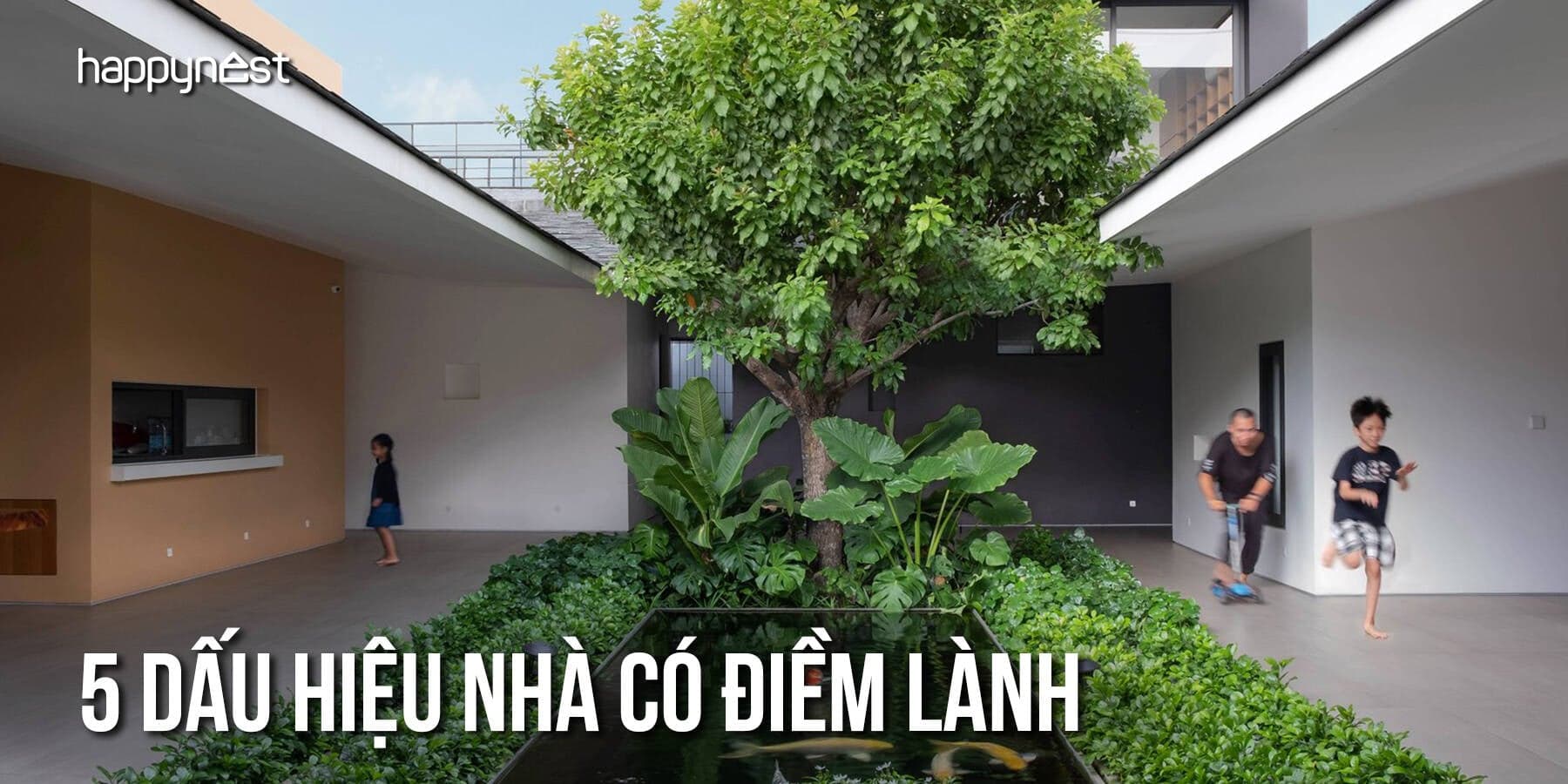5 dấu hiệu nhà có phong thủy tốt, đem lại may mắn và sức khỏe cho gia chủ