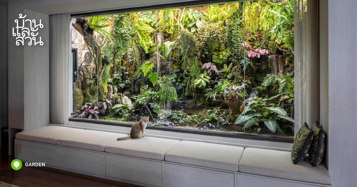 Khu vườn terrarium 3x6m trong nhà: Khép kín hoàn toàn nhưng vẫn xanh tốt nhờ hệ thống làm mát và đèn trồng cây