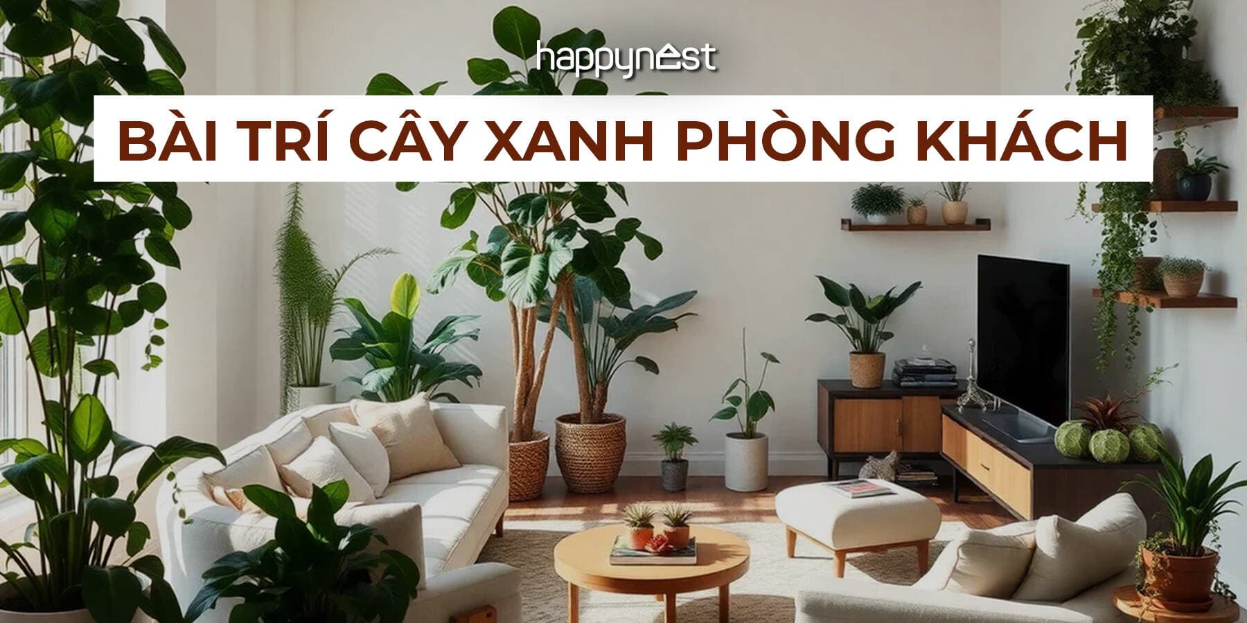 6 quy tắc vàng giúp phòng khách bừng sáng khi bài trí cây xanh theo chuẩn chuyên gia