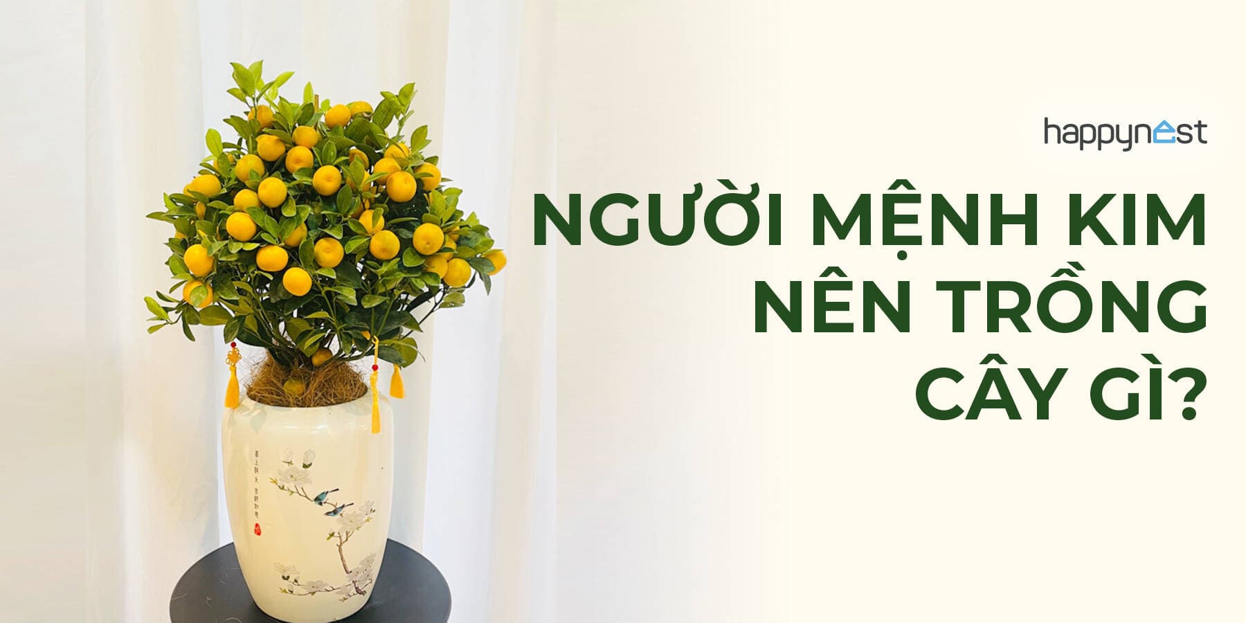 Mệnh Kim trồng cây gì để phát tài phát lộc, đón năng lượng tốt vào nhà?