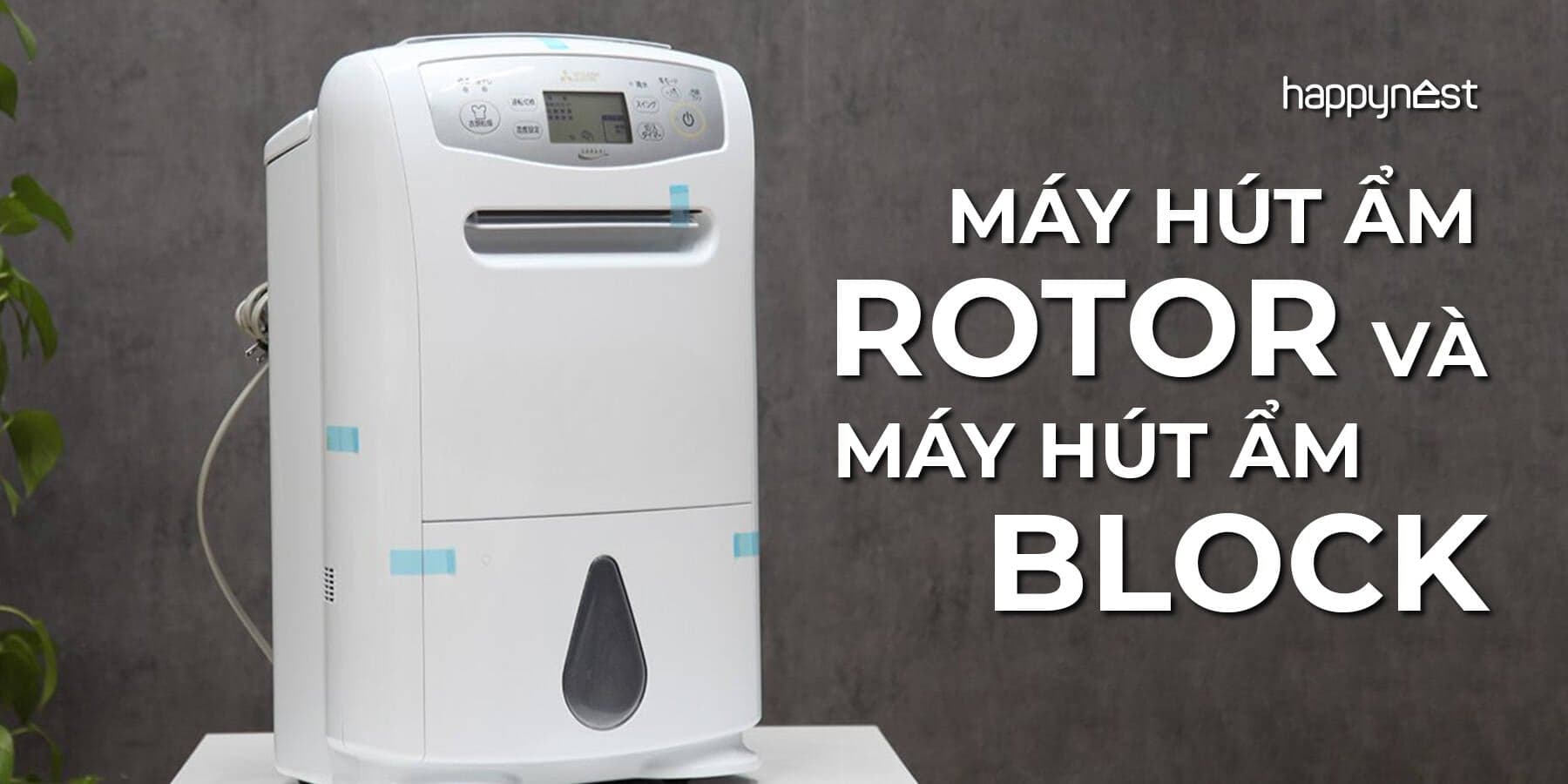 Máy hút ẩm rotor và block: Khác nhau thế nào, loại nào phù hợp khí hậu Việt Nam?
