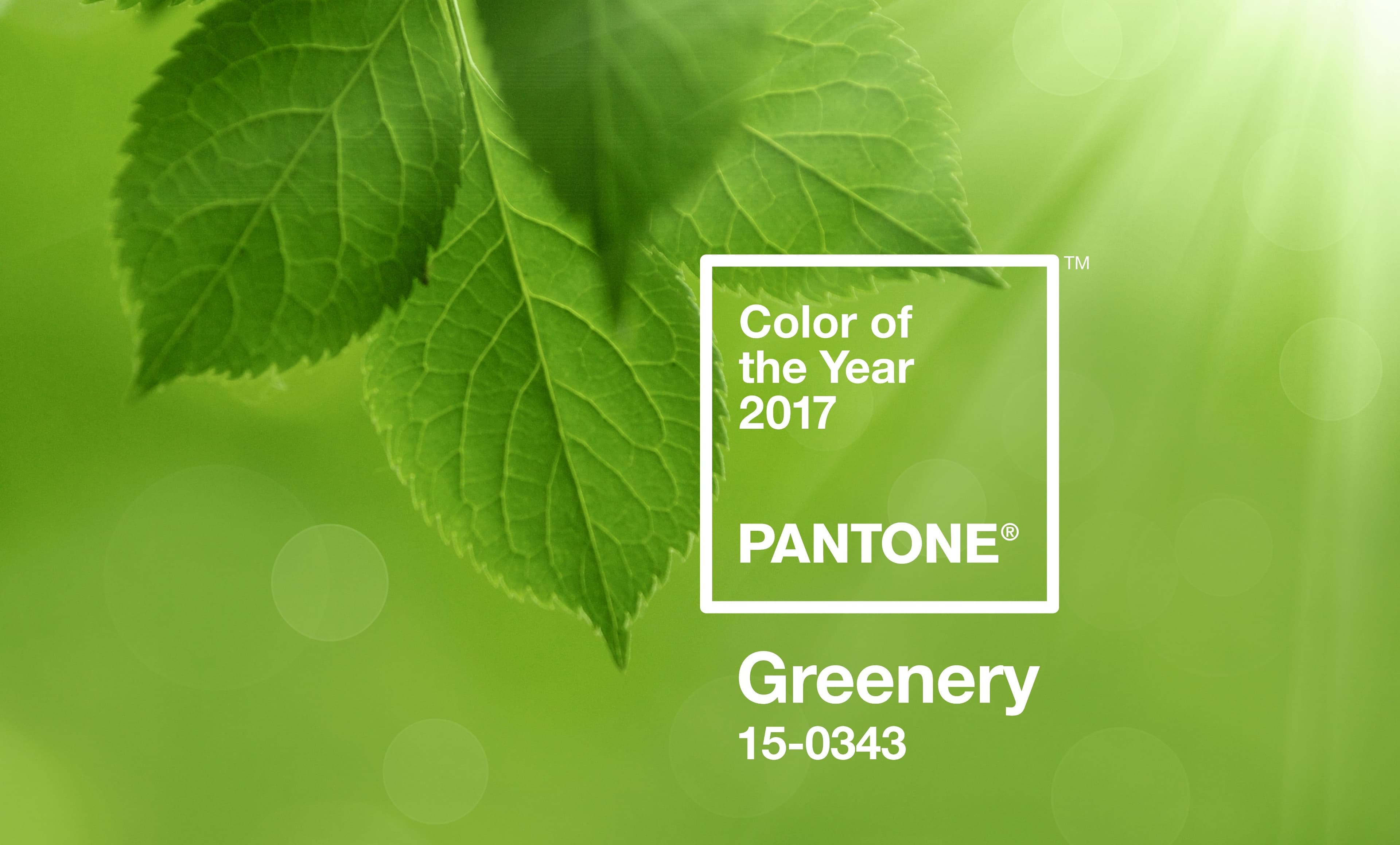 Sắc xanh cho 2017 – Greenery