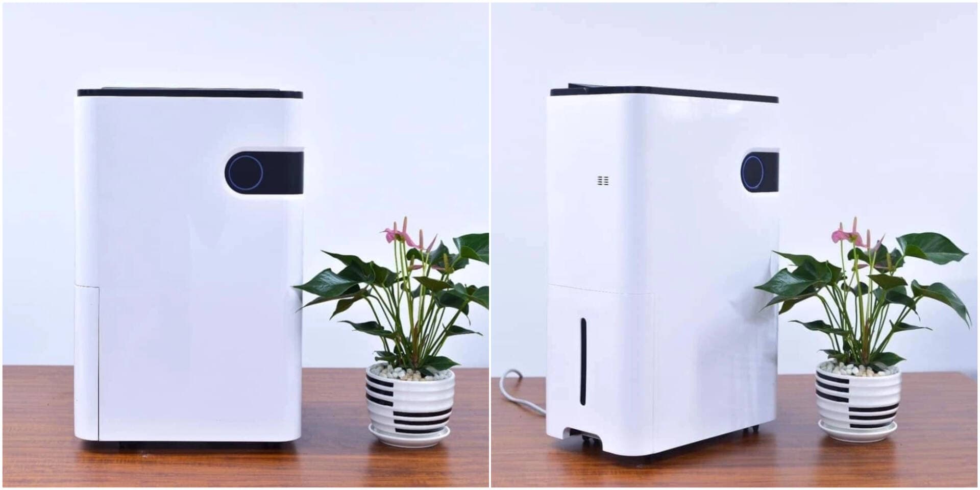 Review máy hút ẩm MEDION MD19679, phù hợp cho phòng 40m2 với công suất hút ẩm lên đến 24 lít/ngày