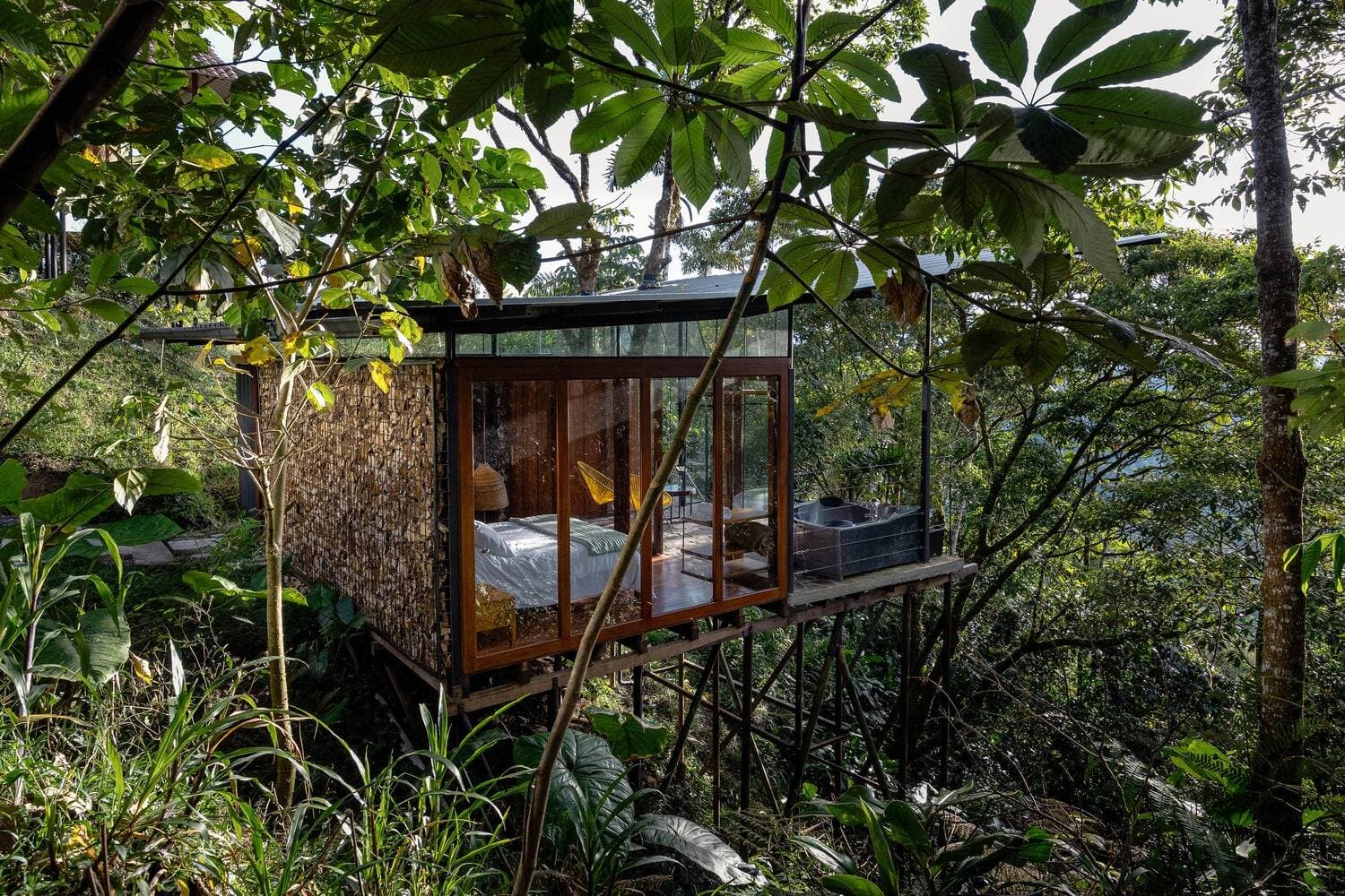 A Lodge in the Pigüe - Nhà nghỉ dưỡng nằm sâu trong rừng mưa Amazon