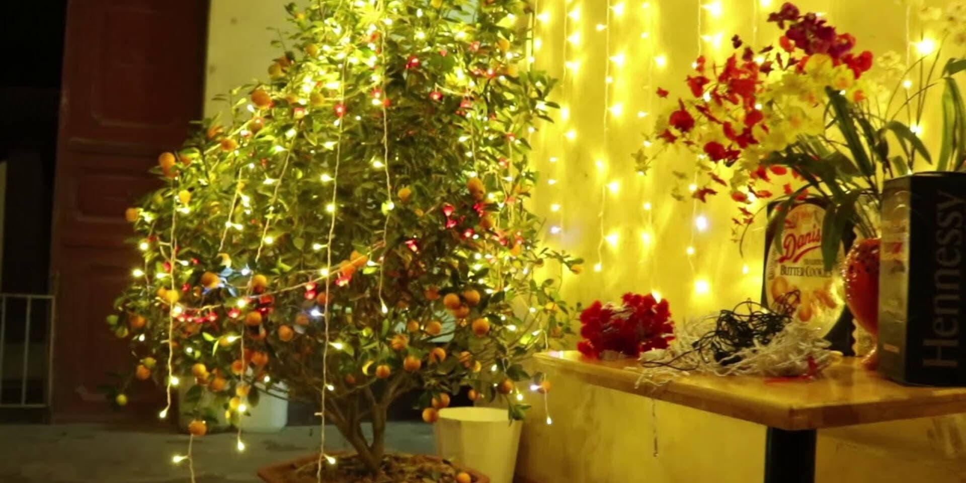 Gợi ý đồ decor nhà cửa cực lung linh đón Tết Nguyên Đán 2025