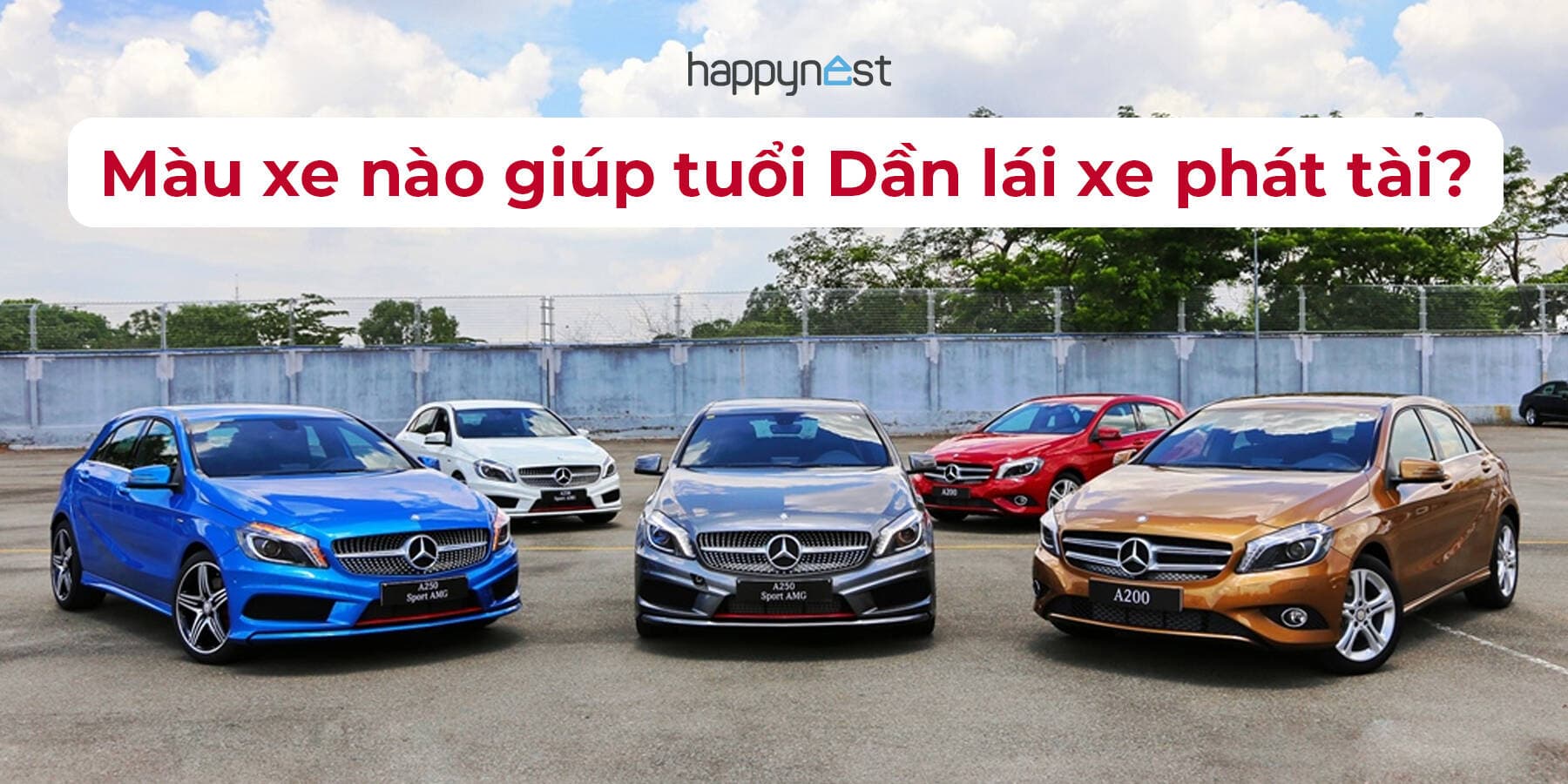 Tuổi Dần nên mua xe màu gì để lái xe phát tài, an toàn và thịnh vượng?