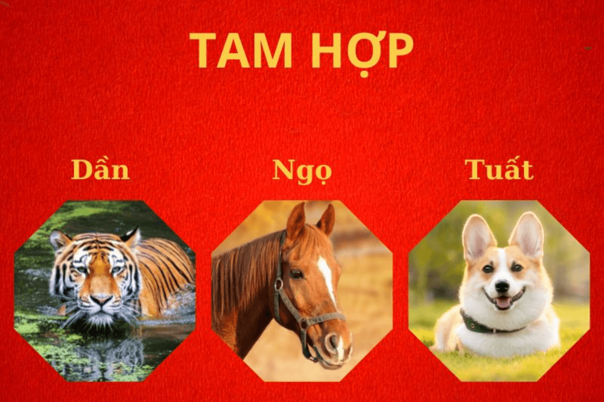 Tam hợp tuổi Dần - Ba con giáp sinh ra để đồng hành cùng nhau, càng ở gần càng phát đạt