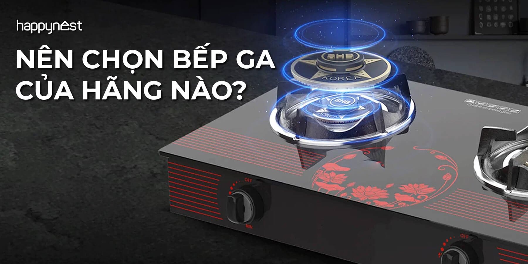 Nên chọn bếp ga của hãng nào để sử dụng bền lâu và tiết kiệm chi phí?