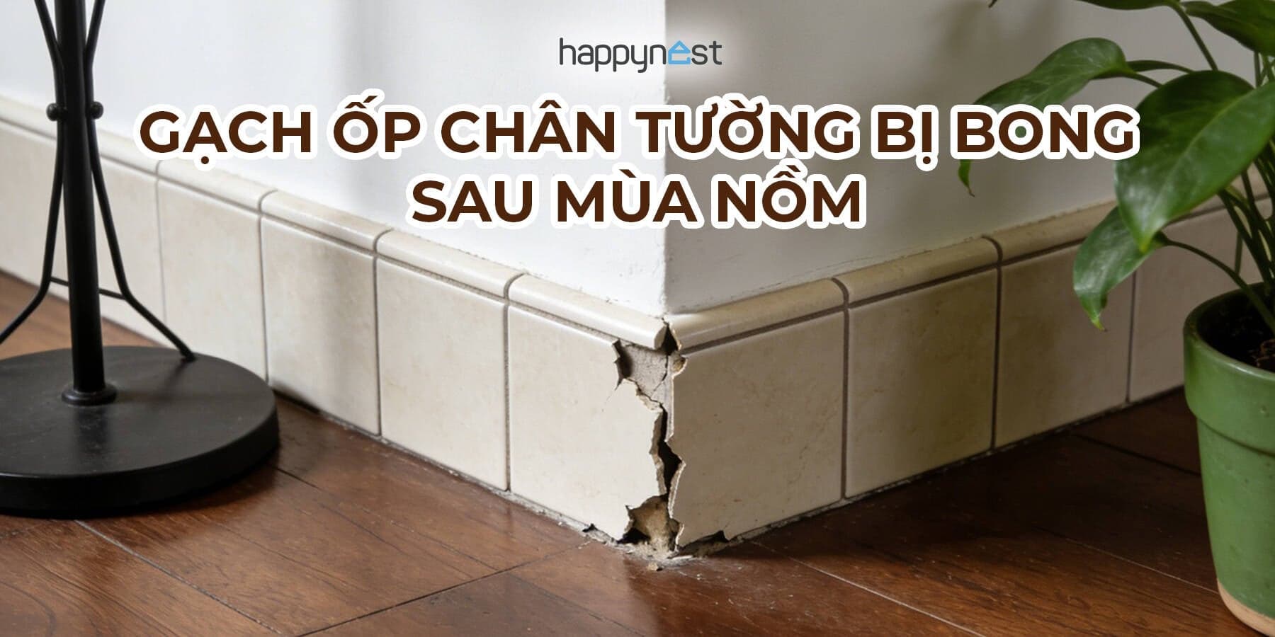 Gạch ốp chân tường bị bong sau mùa nồm: Nguyên nhân và cách xử lý không cần đục phá