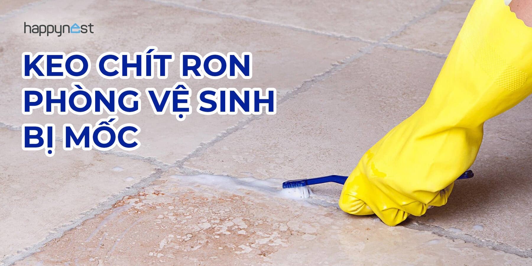 Keo chít ron phòng vệ sinh bị mốc: Nguyên nhân, cách xử lý và cách ngăn tái phát