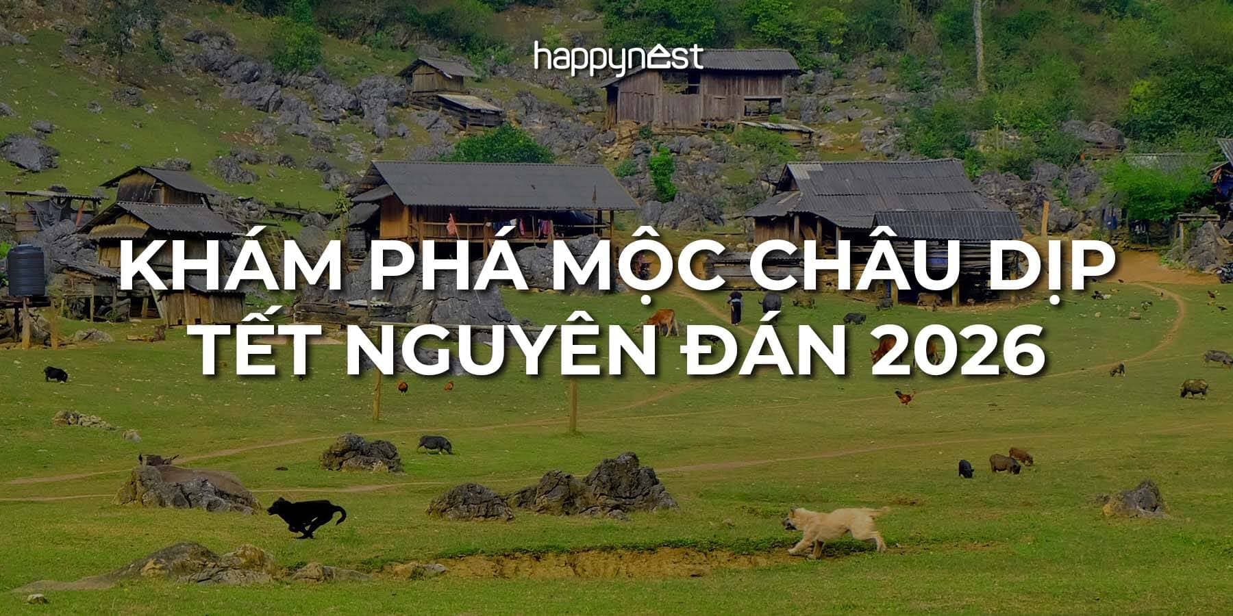 Gợi ý du lịch Tết Mộc Châu 3 ngày: Ngắm hoa mận, hái dâu và trải nghiệm bản làng nguyên thủy
