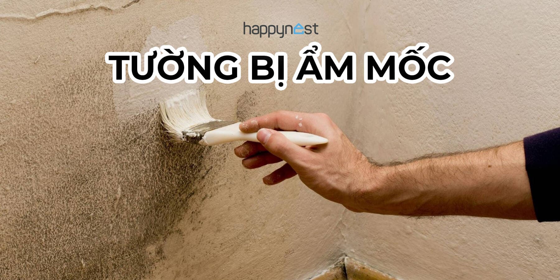 Tường bị ẩm mốc xử lý thế nào để sạch lâu mà không mất quá nhiều công sức?