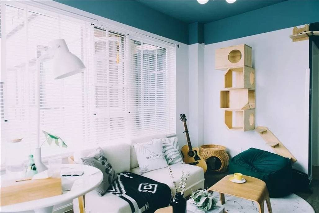 Trải nghiệm căn hộ mệnh danh là “thiên đường cho mèo” của hai anh em trai ở Tứ Xuyên