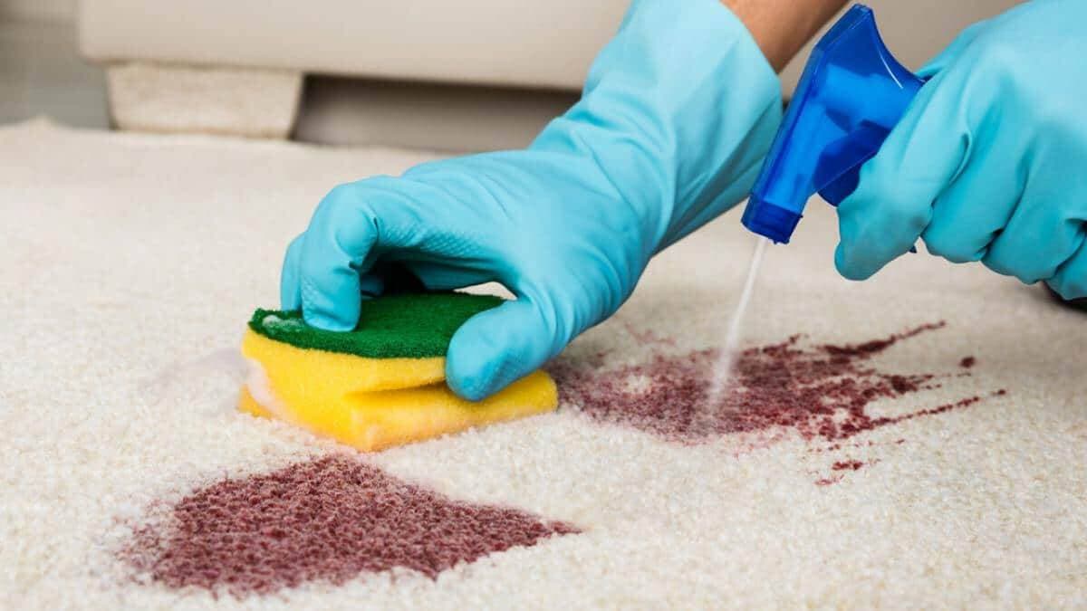 Hướng dẫn vệ sinh thảm trải sàn sạch như mới mà không cần máy hút bụi