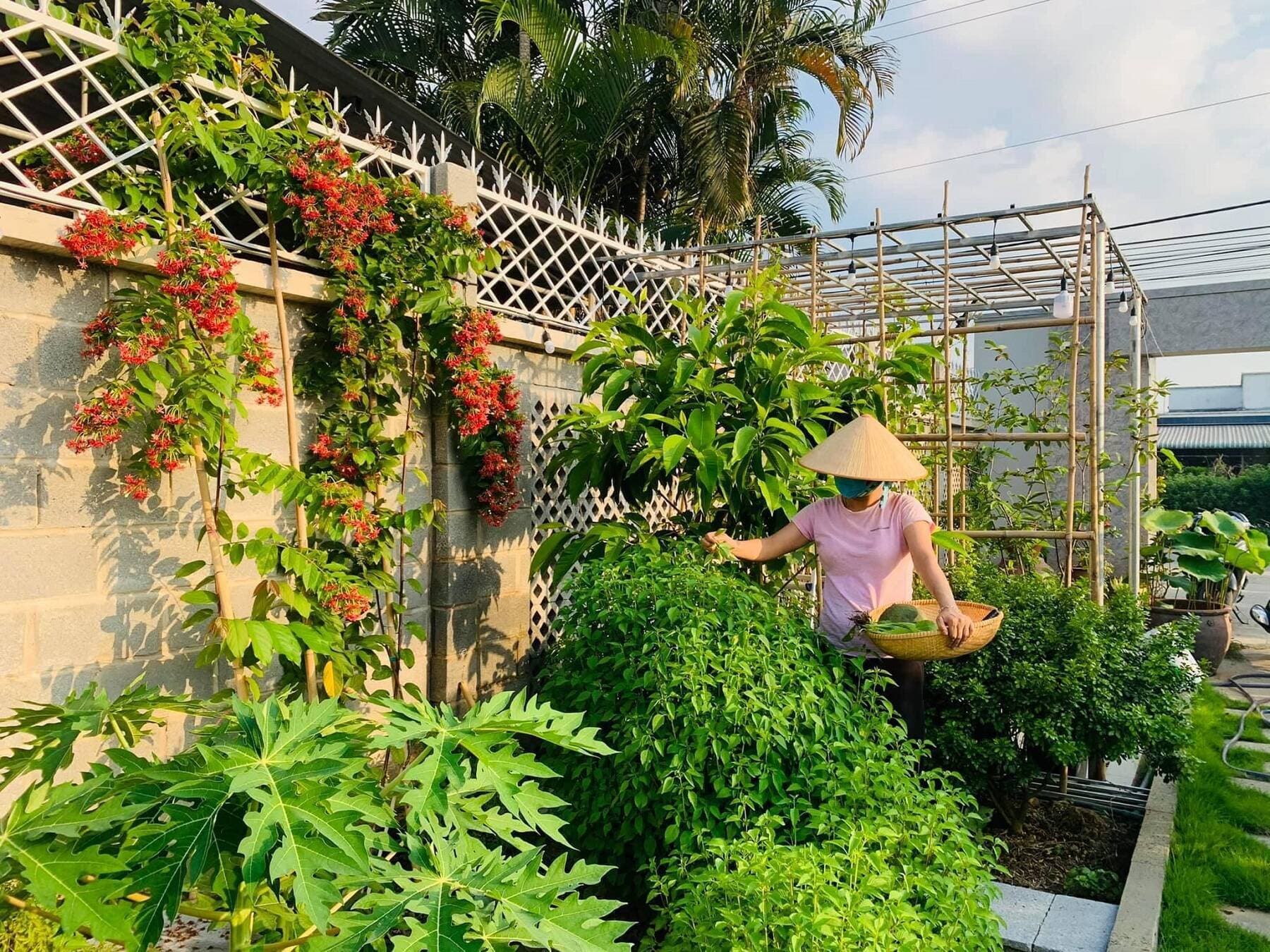 Nhiều người trẻ ngậm ngùi rời nhà ở quê vườn rộng, để lên phố tìm việc tăng thu nhập