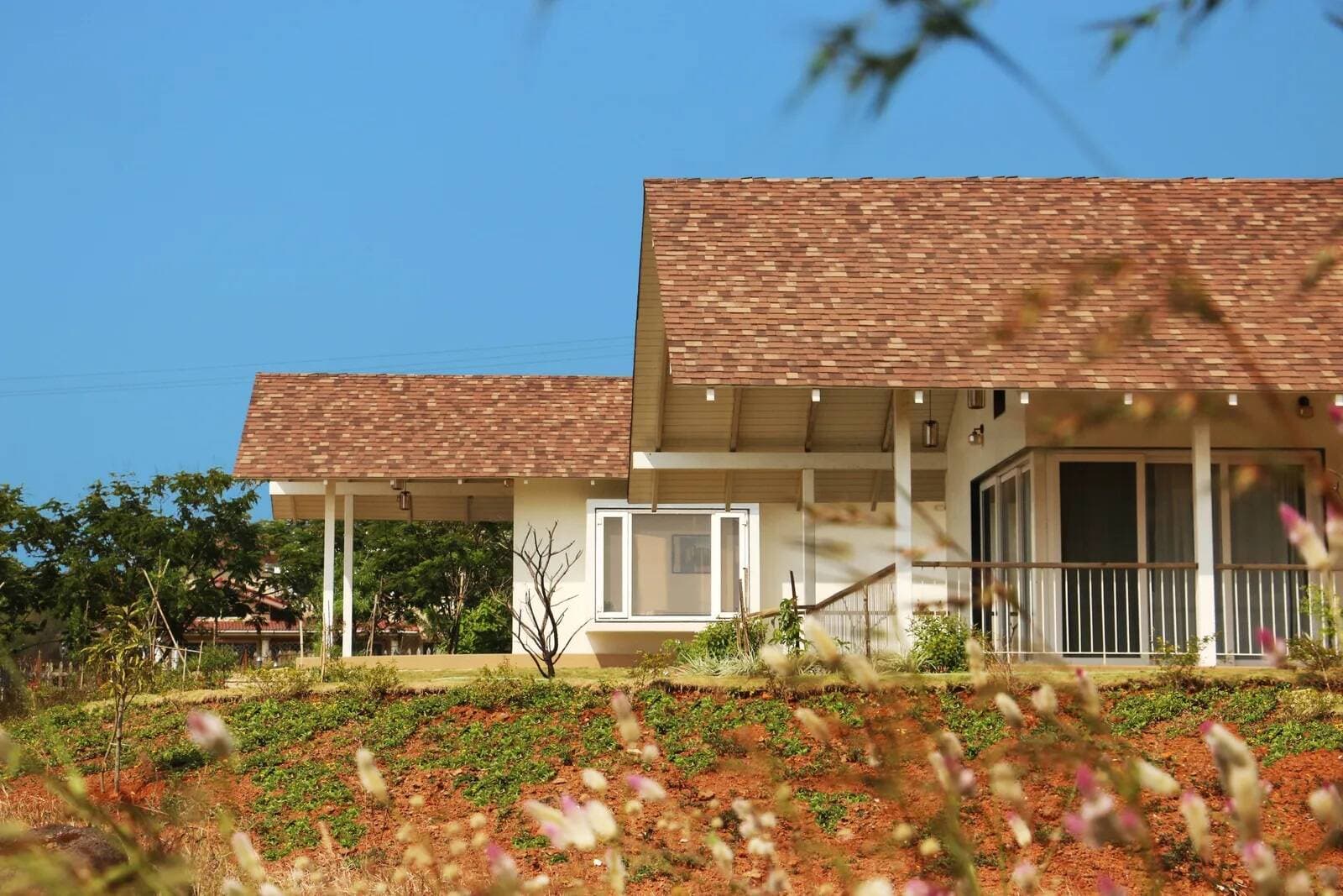 Mẫu nhà cấp 4 mái Thái 1 tầng giá rẻ (kèm ảnh thực tế)