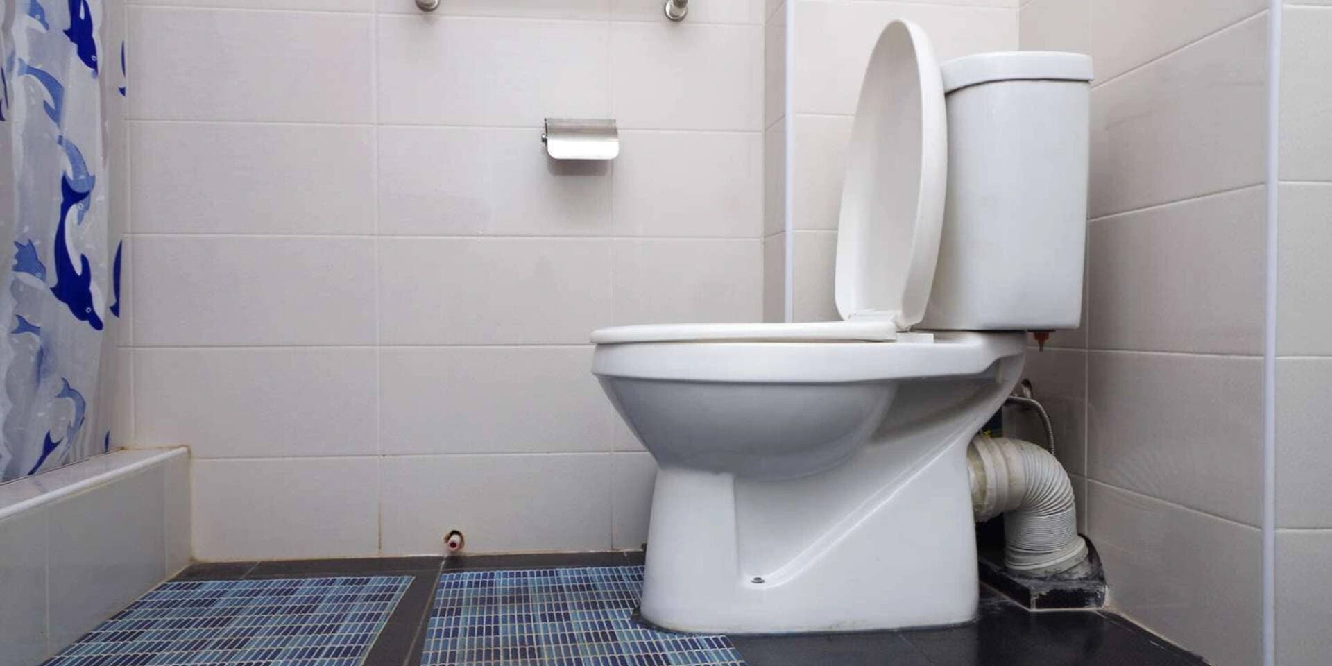 Nên đóng hay mở nắp bồn cầu sau mỗi lần đi vệ sinh?