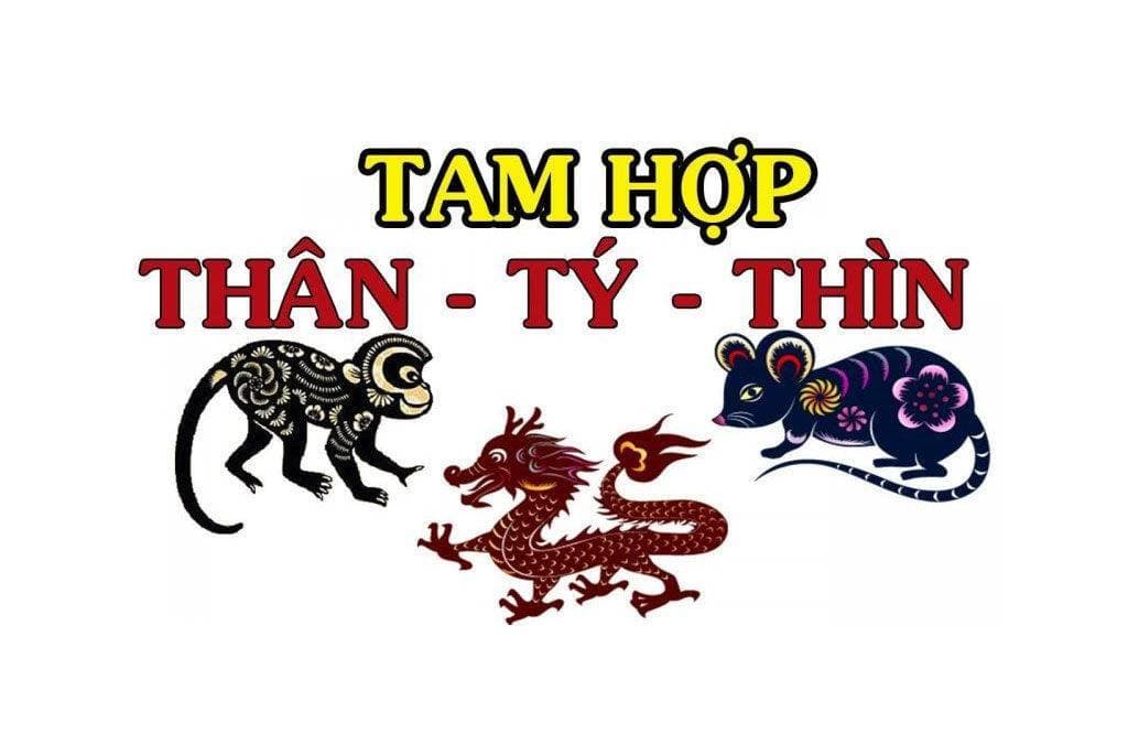 Tam hợp tuổi Thân – Tý – Thìn: Nhóm người kiên trì, bền bỉ và thông minh