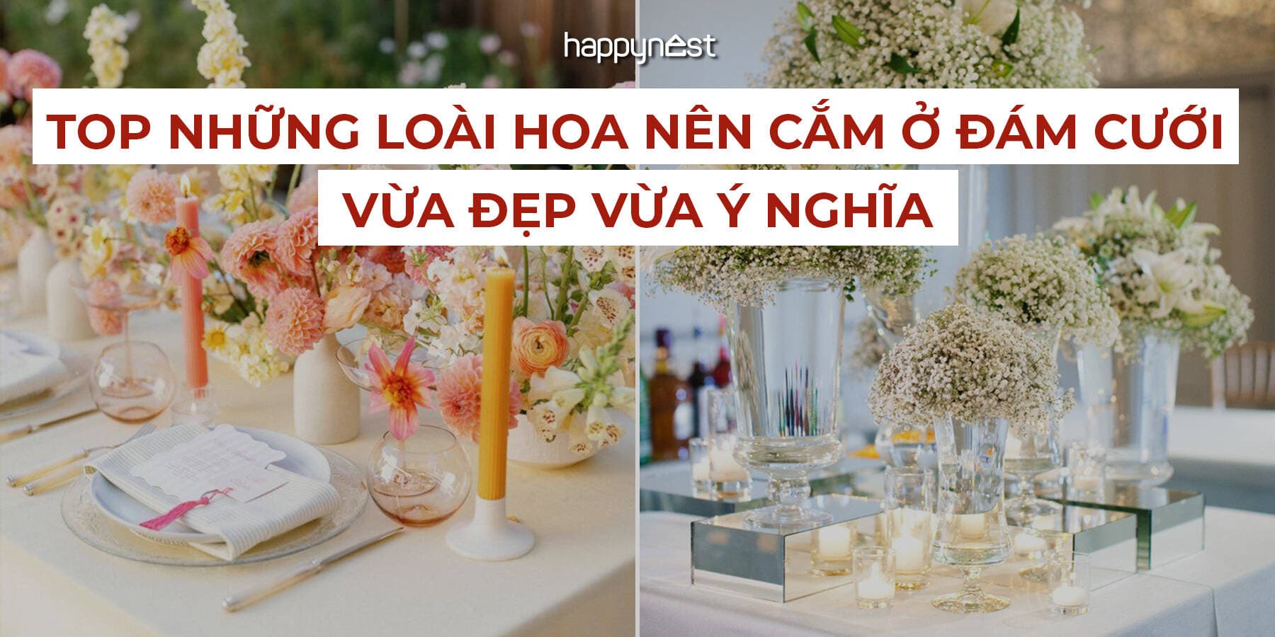 Trang trí đám cưới bằng hoa gì đẹp và ý nghĩa nhất? Top gợi ý giúp ngày cưới trọn vẹn