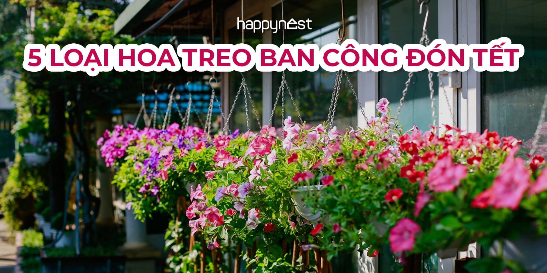 5 loại hoa treo dễ trồng, chịu nắng tốt giúp ban công rực rỡ đón Tết 2026