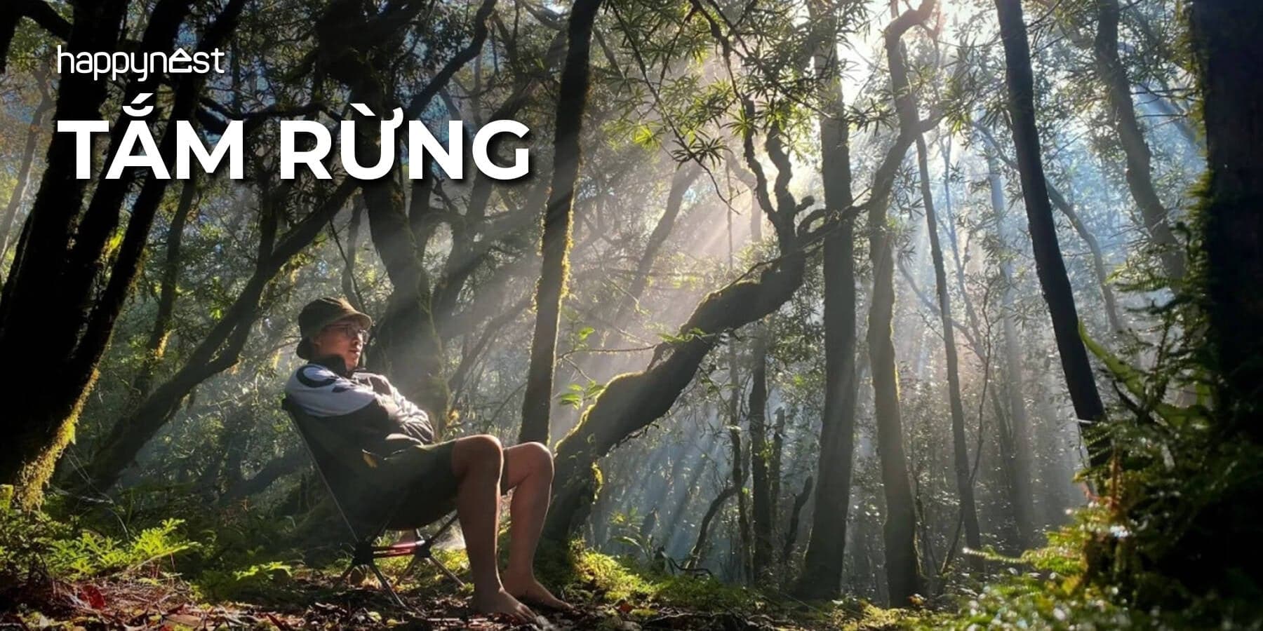 Du lịch chữa lành với “tắm rừng” vì sao ngày càng được ưa chuộng?