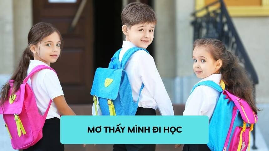 Mơ thấy đi học là điềm gì và vì sao giấc mơ này thường xuất hiện khi bạn đang áp lực?