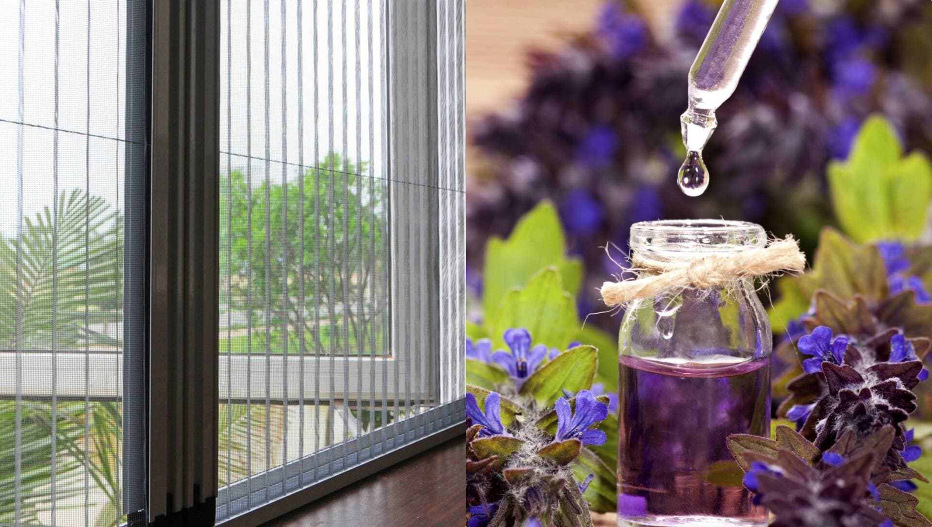 3 mẹo nhỏ dễ dàng chống muỗi cho cả gia đình vào những ngày thời tiết nồm ẩm