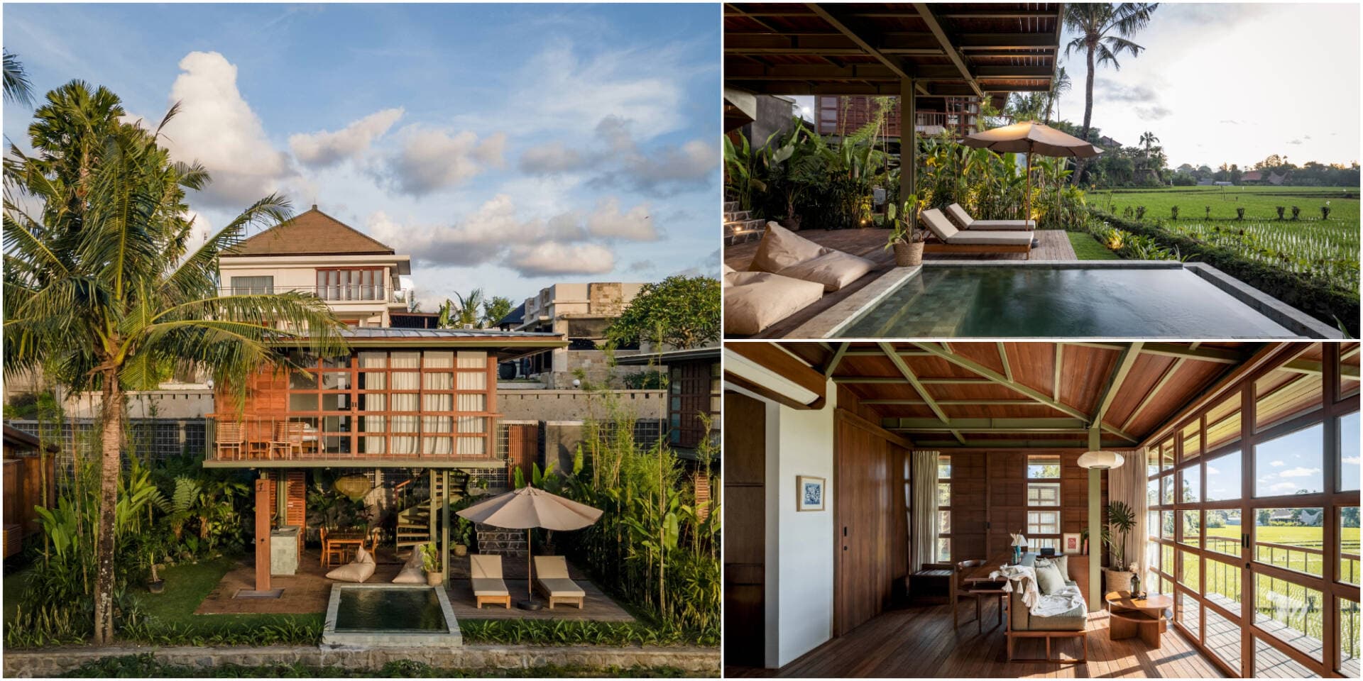 Tree House – ngôi nhà gỗ 45m2 đầy đủ tiện nghi với tầm nhìn ra cánh đồng lúa thẳng cánh cò bay