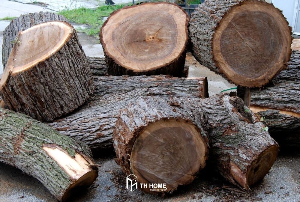 So sánh gỗ óc chó và gỗ hương: Điểm khác biệt và ứng dụng