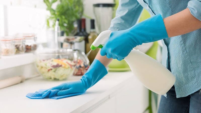 6 thói quen xấu khiến côn trùng xuất hiện nhiều trong nhà