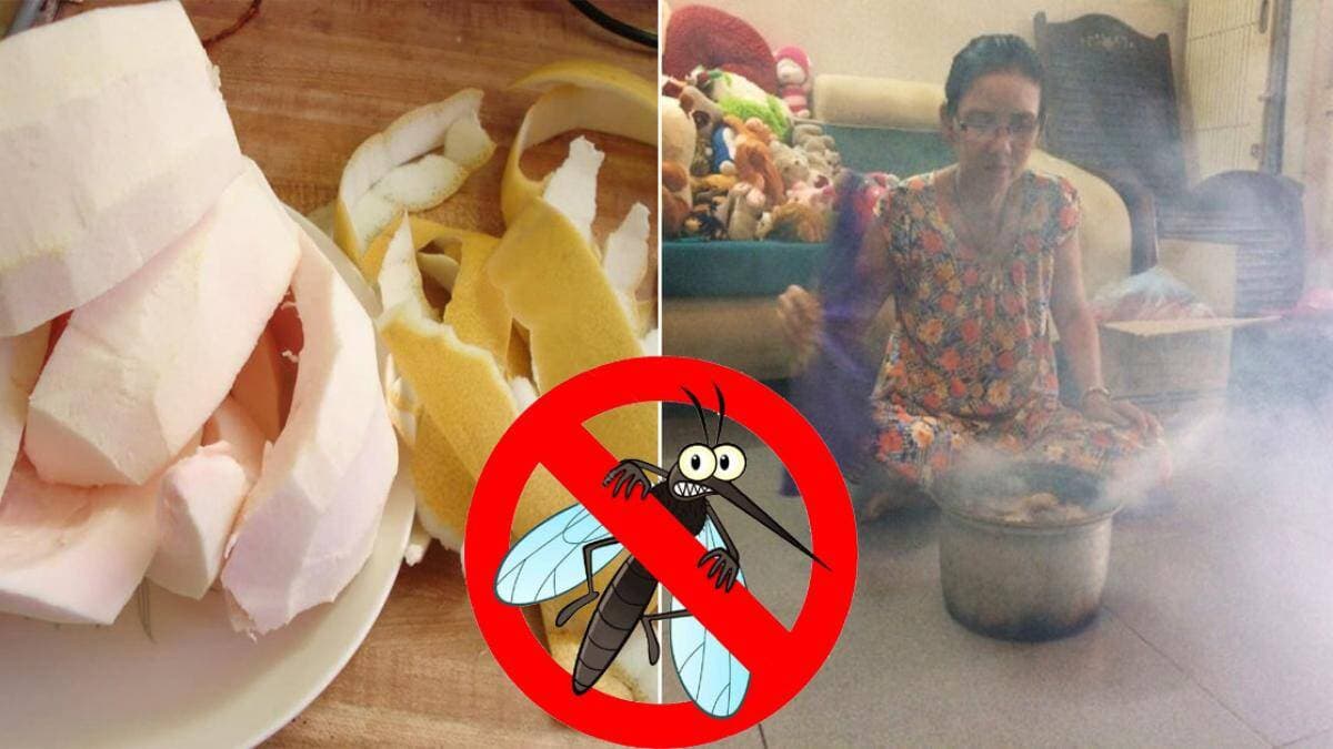 Mẹo đuổi muỗi, diệt muỗi bỏ chạy đơn giản, có sẵn trong nhà