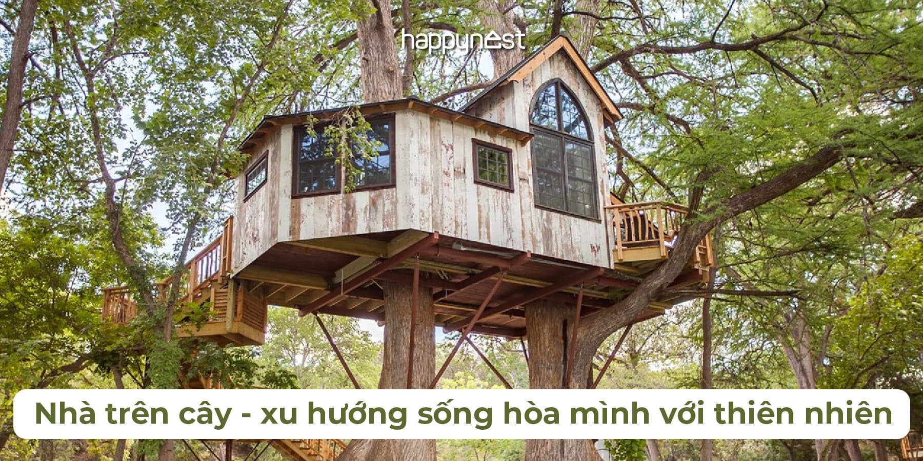 Nhà trên cây – xu hướng sống hòa mình với thiên nhiên đầy cảm hứng