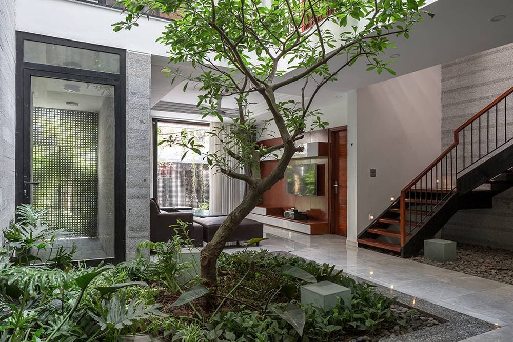 D House Hà Nội - Tổ ấm xanh 3 thế hệ xây trên đất méo và trũng ngập