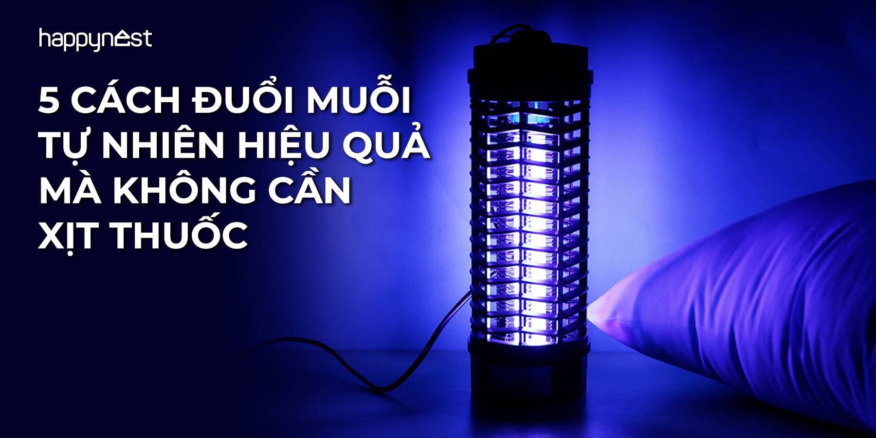 5 cách đuổi muỗi tự nhiên hiệu quả mà không cần xịt thuốc