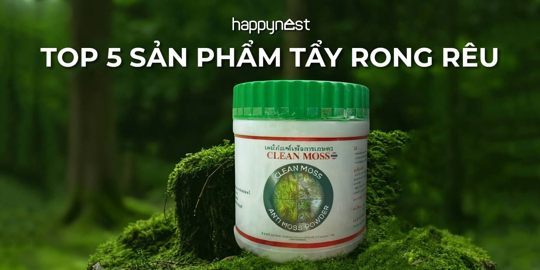 Top 5 sản phẩm tẩy rong rêu trên tường hiệu quả nhất hiện nay