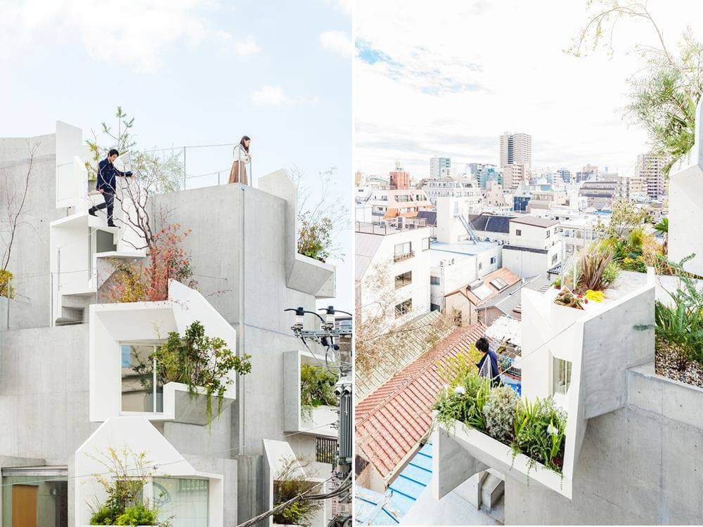 Tree-ness house – Những chiếc hộp giấy xếp chồng chở màu xanh ngát